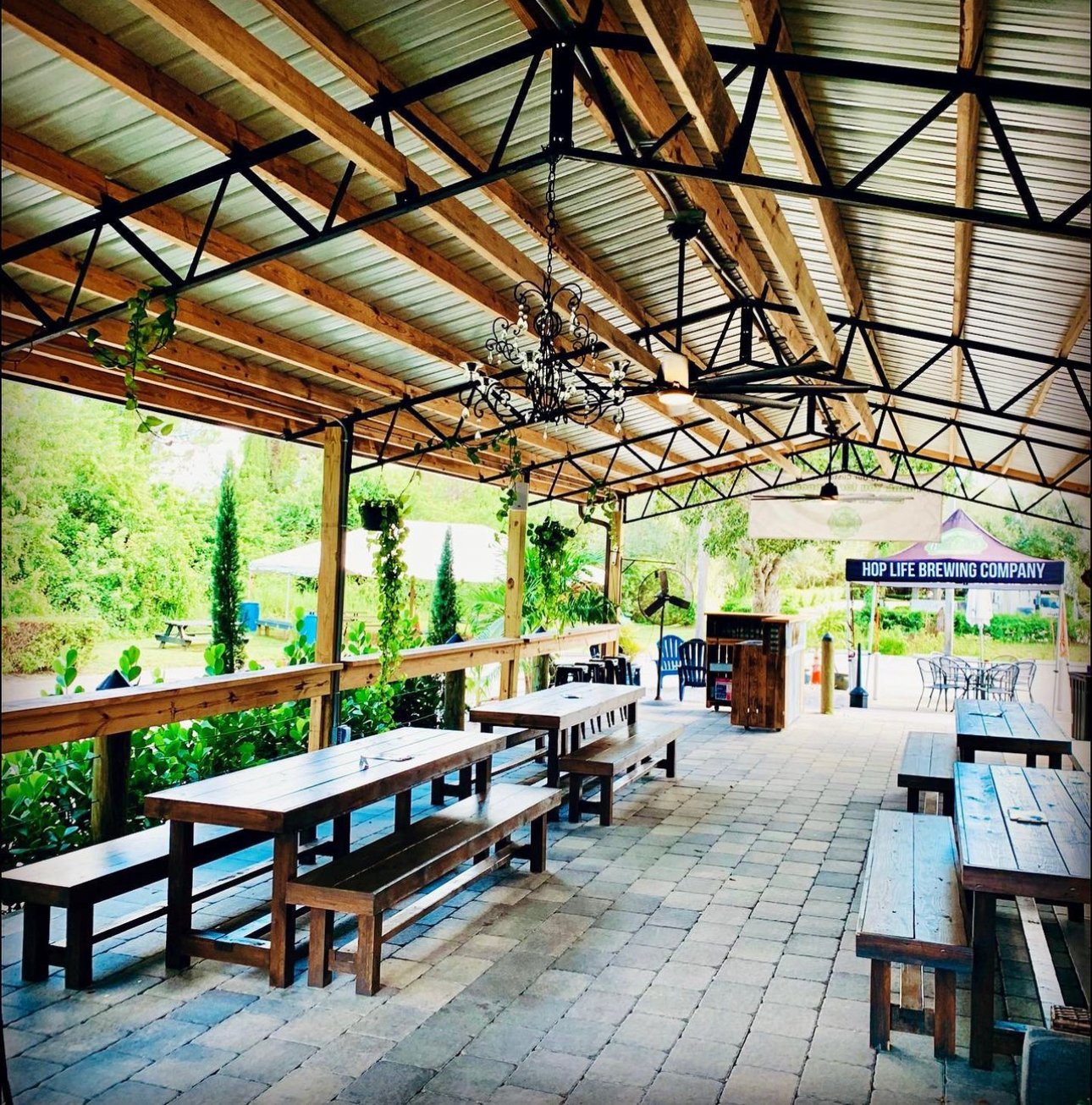 Hop Life Brewing 