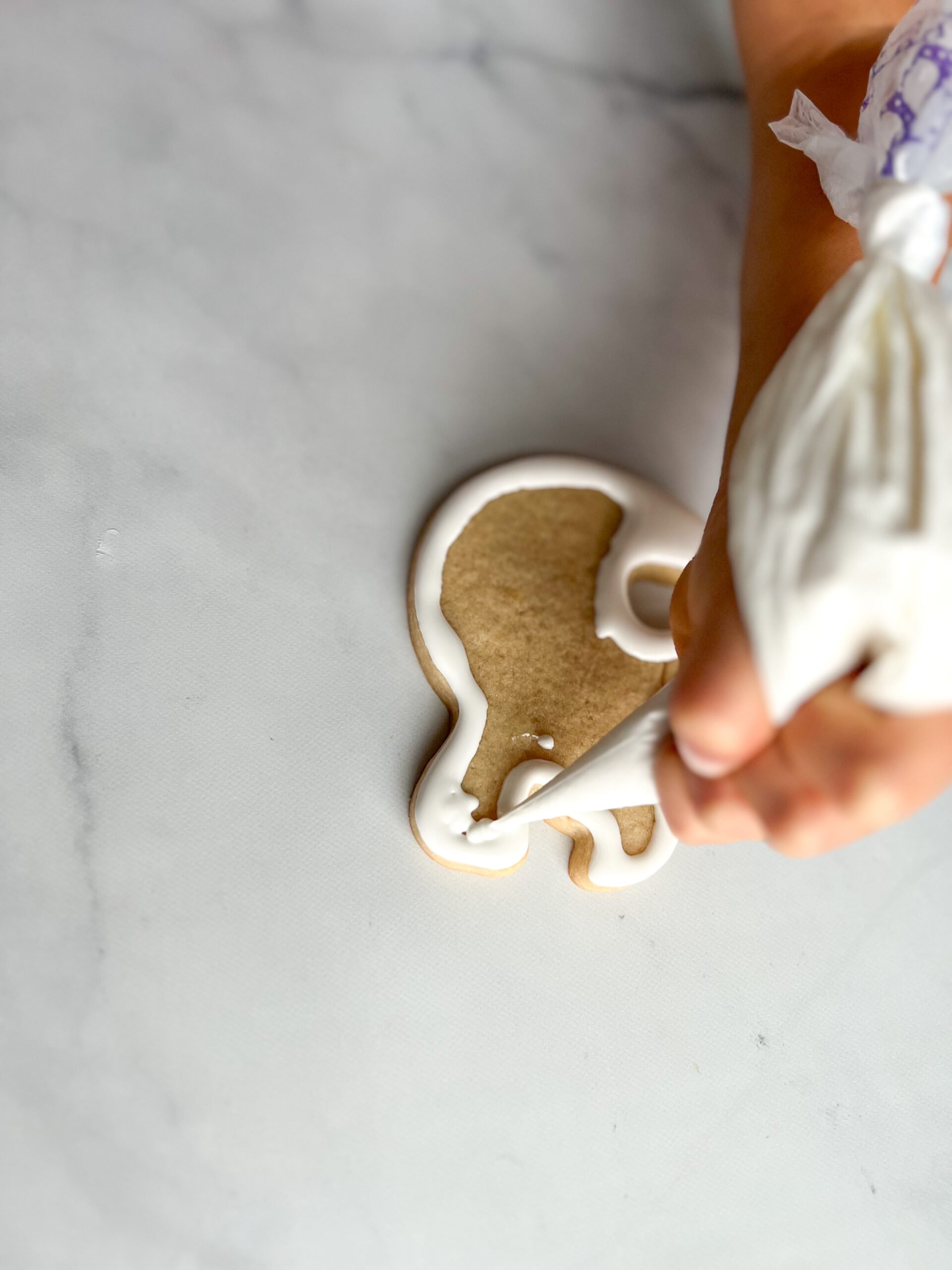 Ghost Cookie