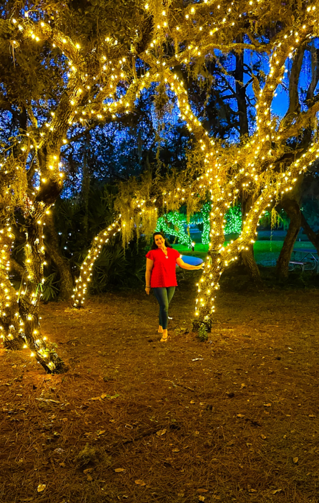 Holiday lights Port Saint Lucie 