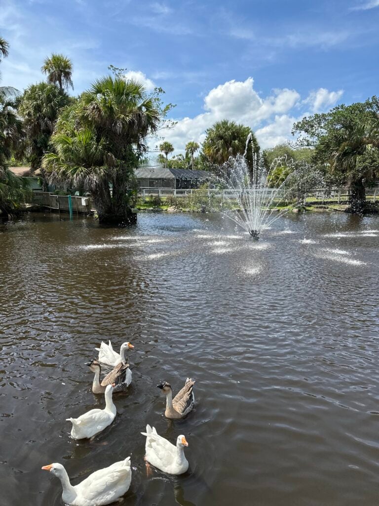 Ranch near Port Saint Lucie 