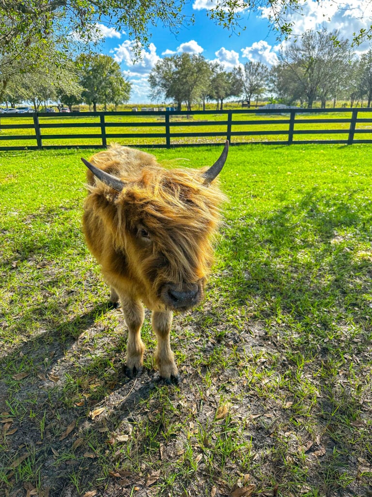 Farms in Port Saint Lucie 
