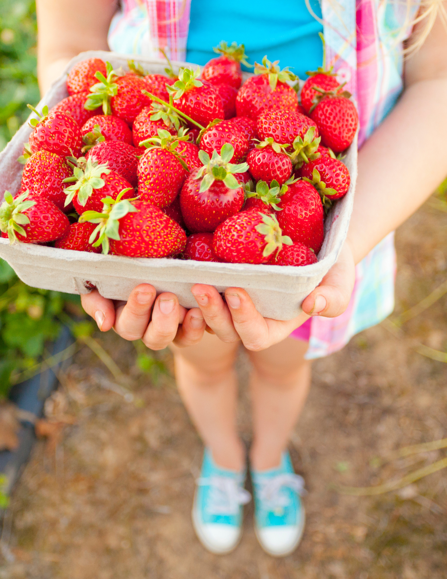 Best U-Pick Farms in St. Lucie County